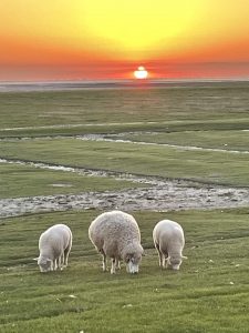 ferienhaus kiek mol oevern diek eiderstedt 34